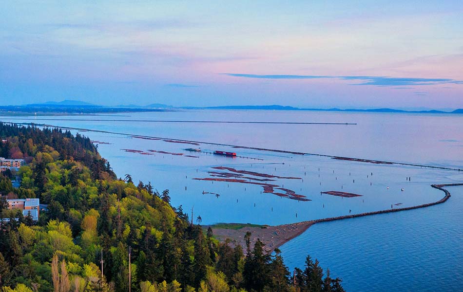 This picture shows a view out over the Georgia Strait, overlooking the logging bay by Marine Drive